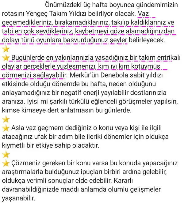 ven yen1 (2).webp