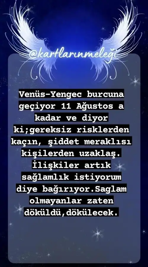 ven yen14.webp