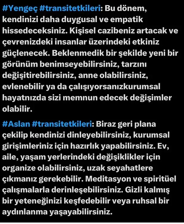 ven yen2 (3).webp