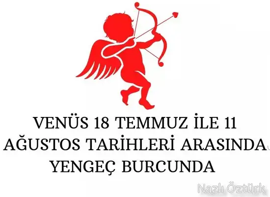ven yen5 (1).webp