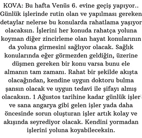 ven yen5 (12).webp