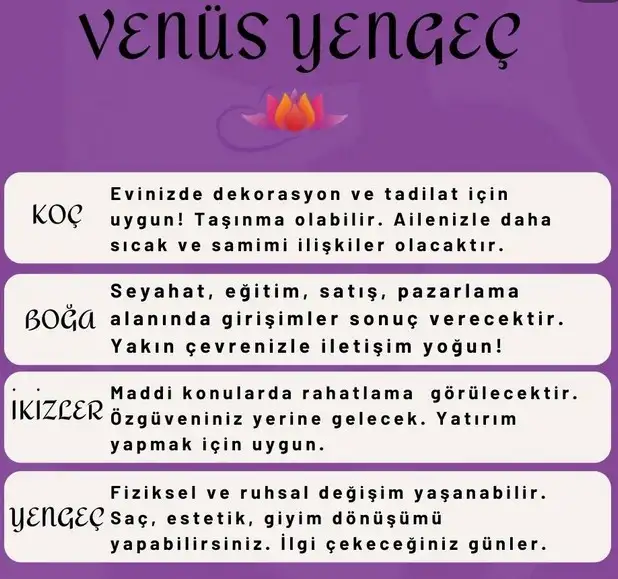 ven yen67 (1).webp