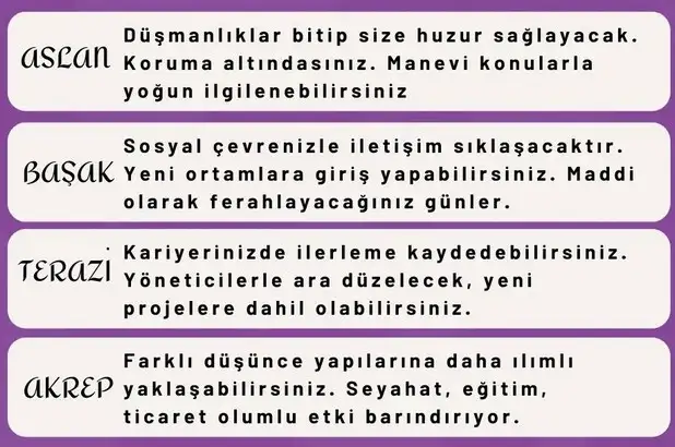 ven yen67 (2).webp