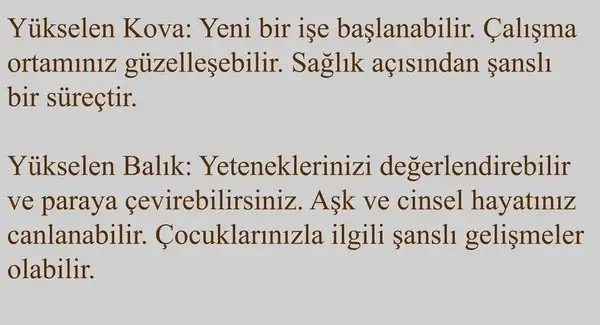 ven yen7 (6).webp