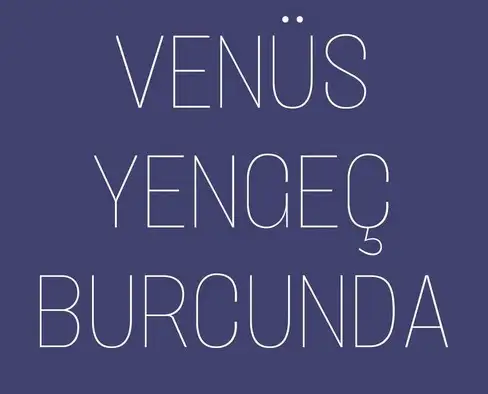 ven yen78 (1).webp