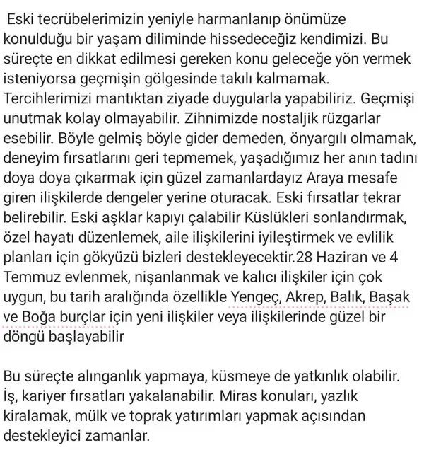 ven yen78 (4).webp