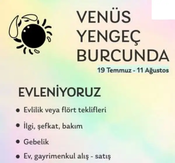 ven yen8 (1).webp