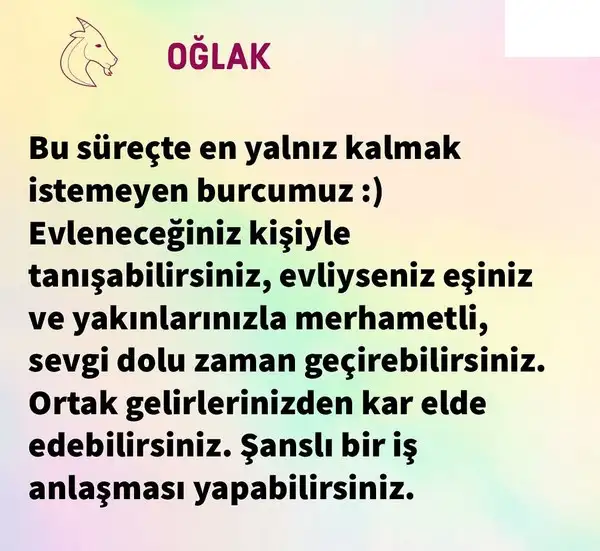 ven yen8 (11).webp