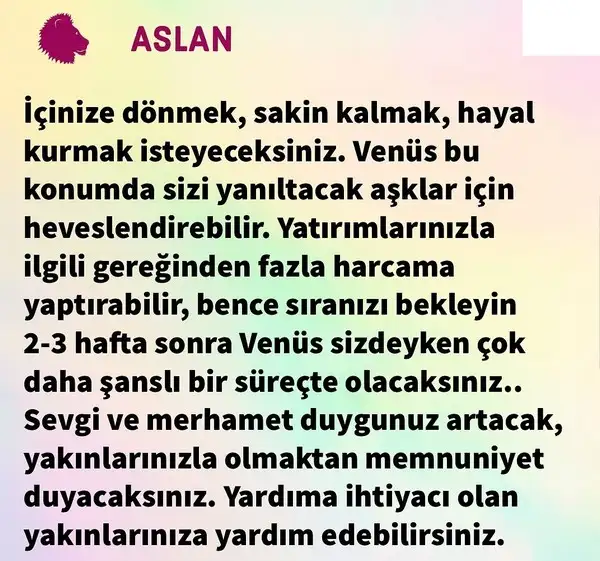 ven yen8 (6).webp