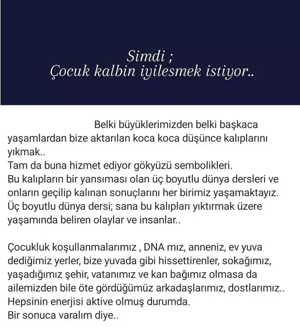 ven yen9 (1).webp