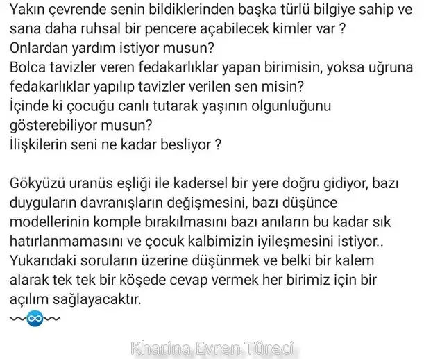 ven yen9 (2).webp
