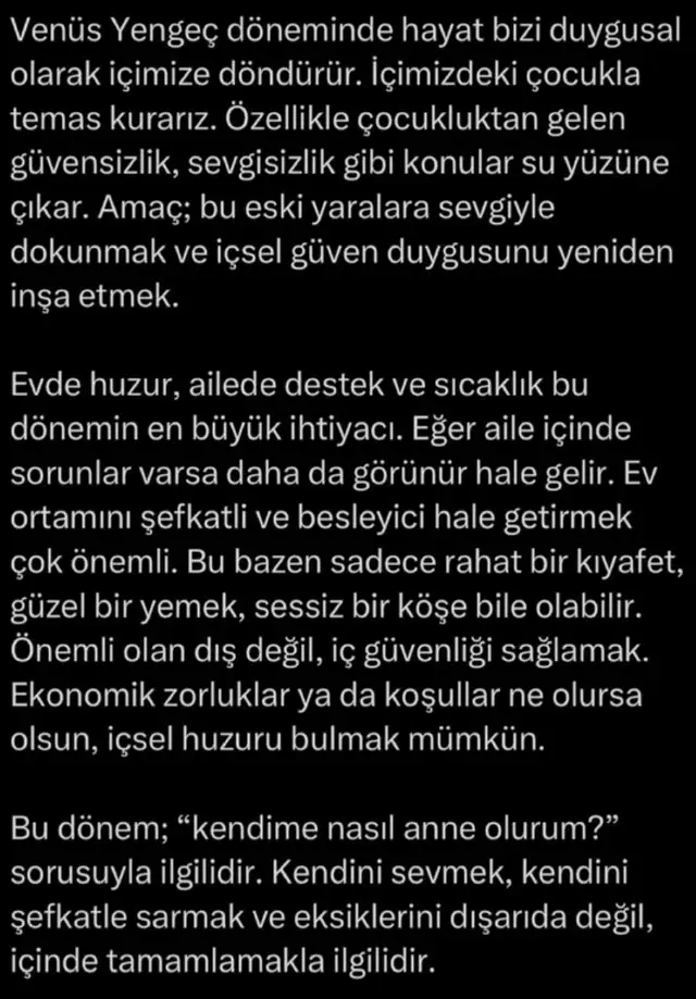 ven yeng11 (2).webp