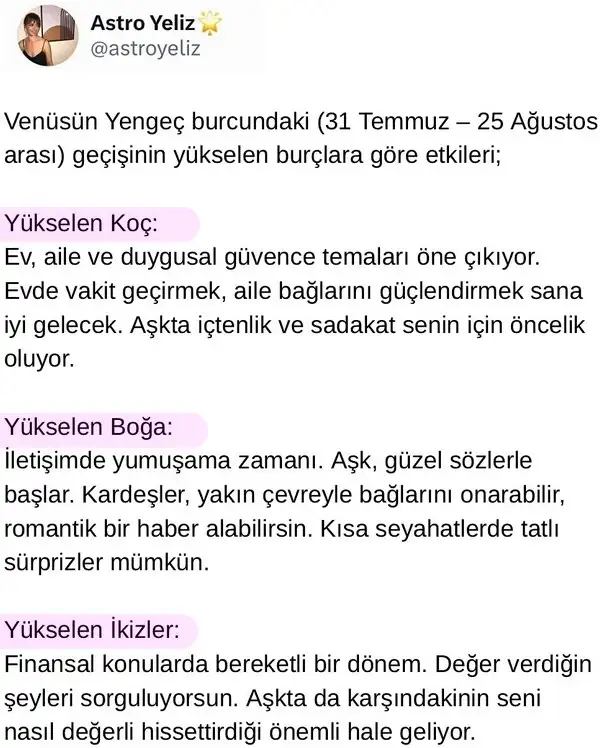 ven yeng14 (1).webp