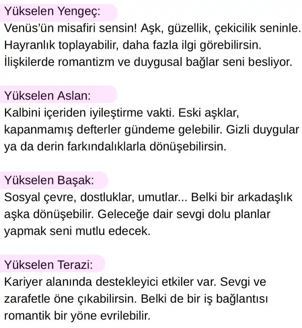ven yeng14 (2).webp