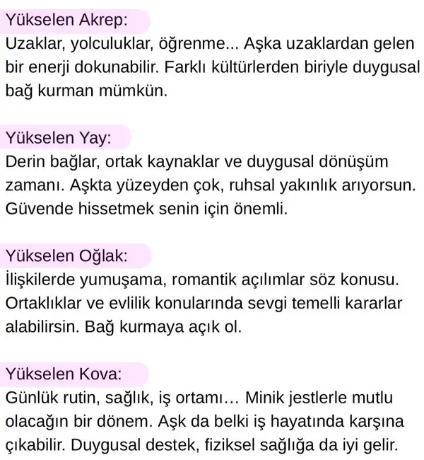 ven yeng14 (3).webp