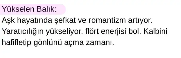 ven yeng14 (4).webp