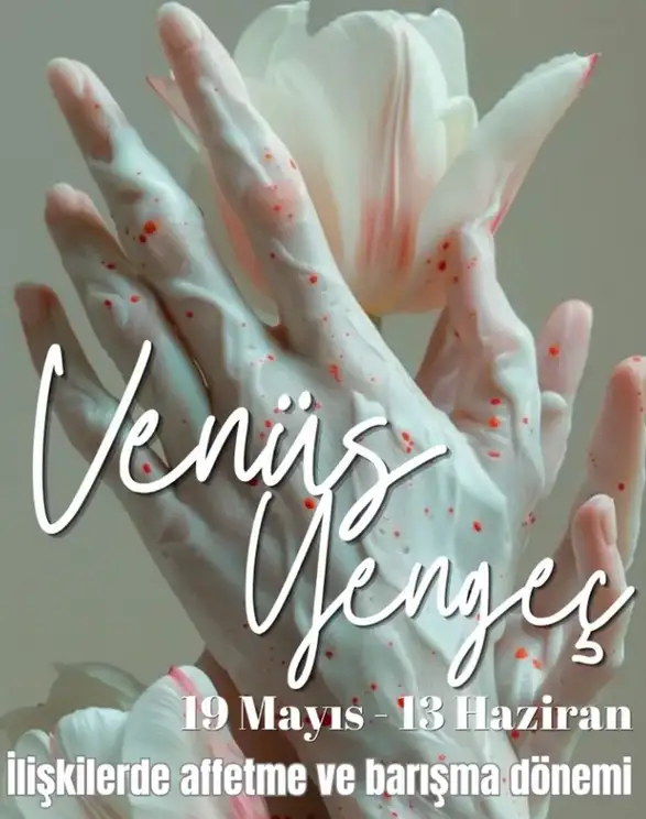 ven yeng5 (1).webp
