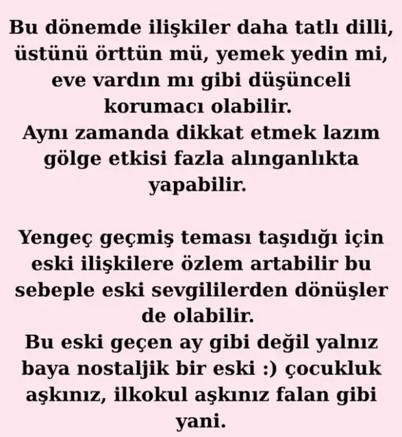ven yeng5 (3).webp