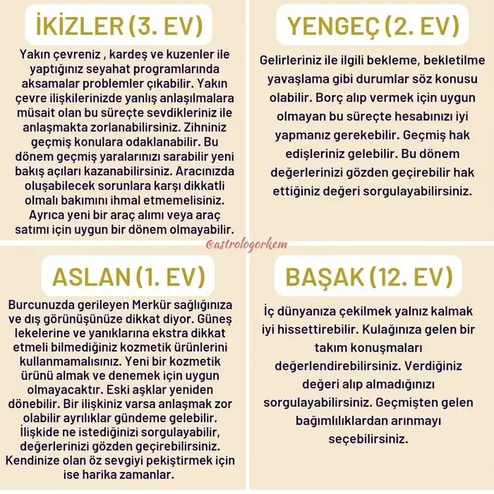 ven1 (2).webp