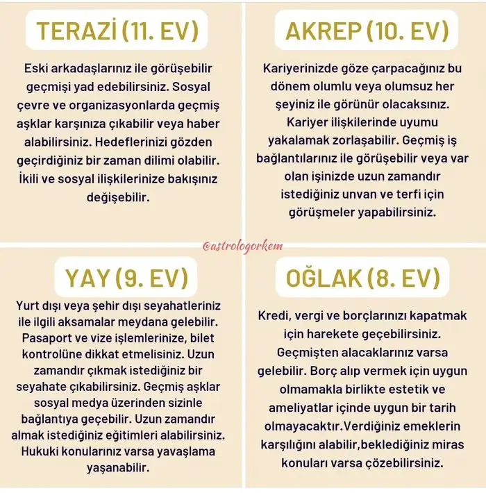ven1 (3).webp