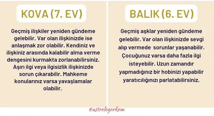 ven1 (4).webp