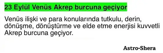 venak.webp