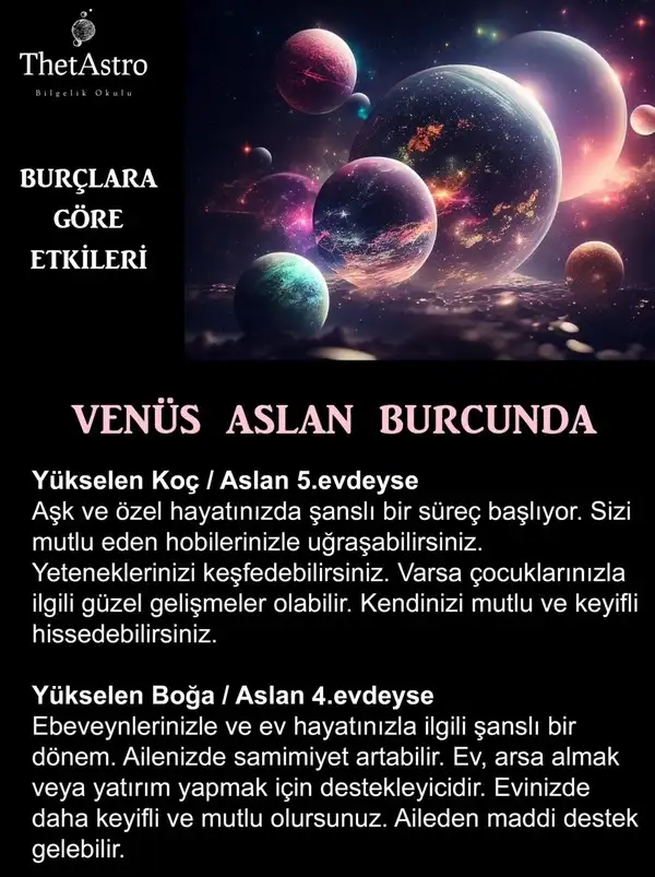 venas32 (1).webp