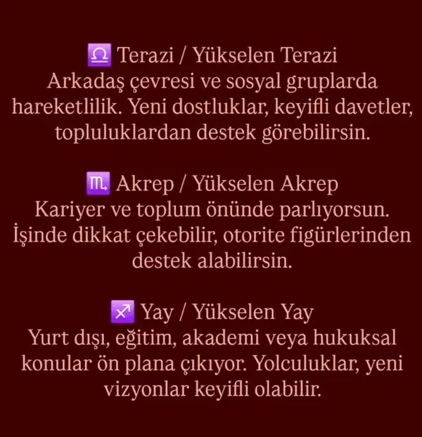 venas4 (4).webp