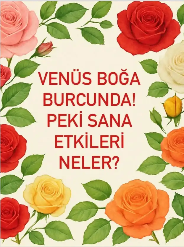venb10 (1).webp