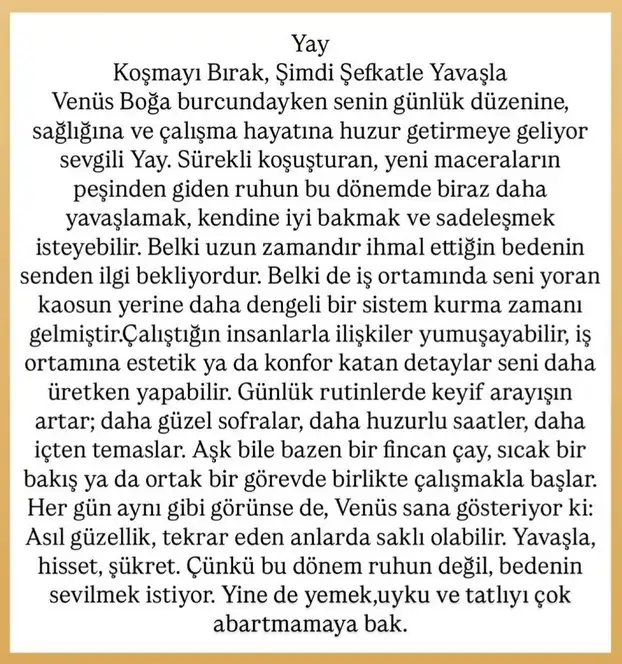 venb10 (10).webp