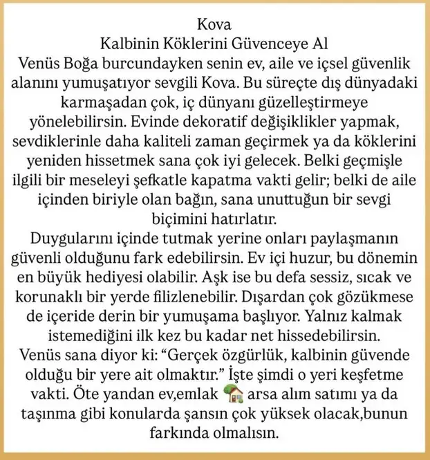 venb10 (12).webp