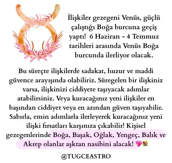 venb11.webp