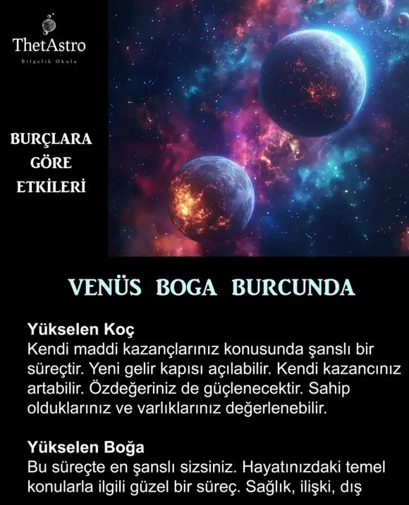 venb18 (1).webp