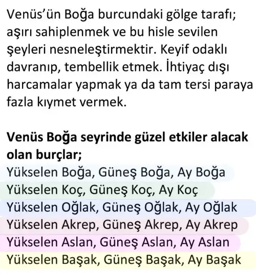 venb2 (4).webp