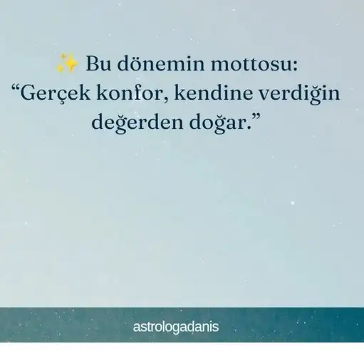 venb2 (6).webp