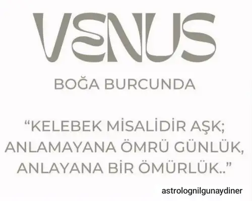 venb35 (1).webp