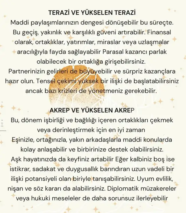 venb87 (4).webp
