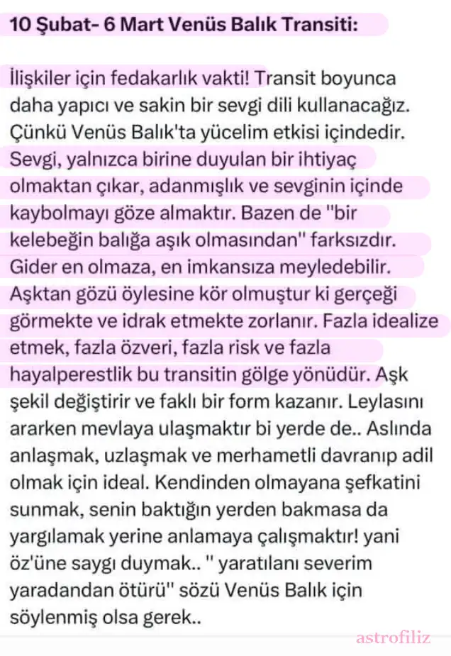 venbal (1).webp
