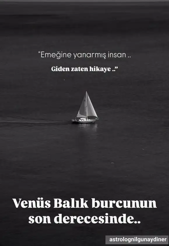 venbal.webp