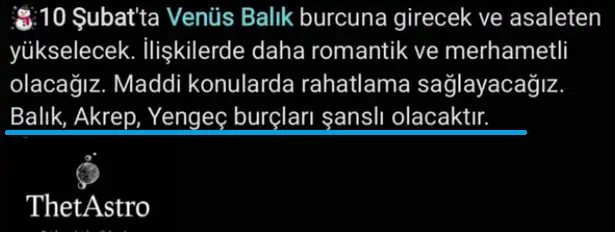 venbal.webp