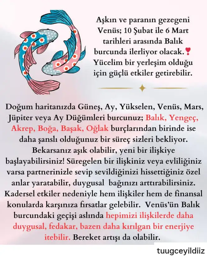 venbal12 (1).webp