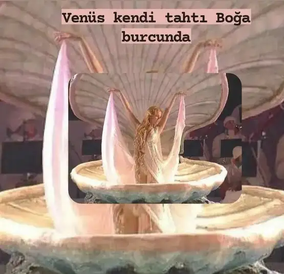 venboğ.webp