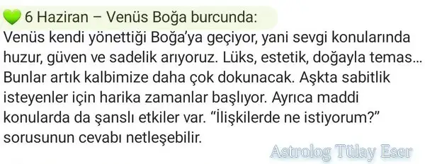 venboğ.webp
