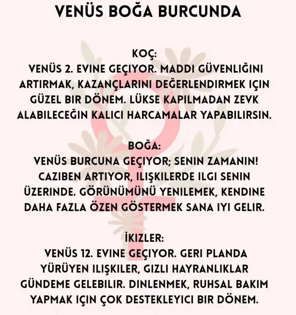 venboğ1 (1).webp