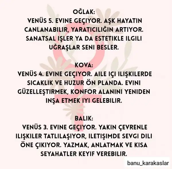 venboğ1 (4).webp
