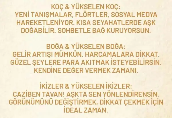 venik (2).webp