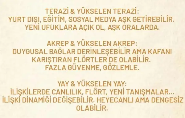 venik (4).webp