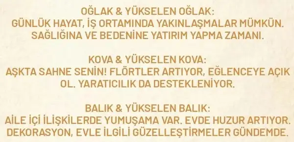 venik (5).webp