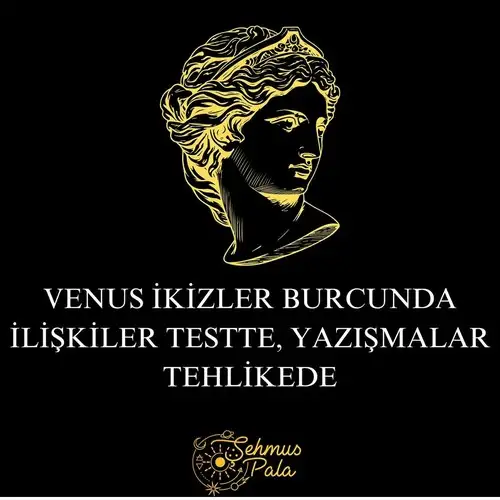 venik1 (1).webp