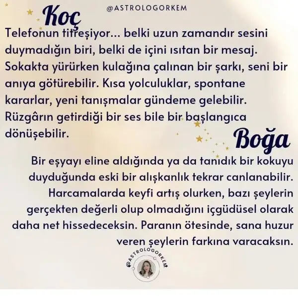 venik11 (1).webp